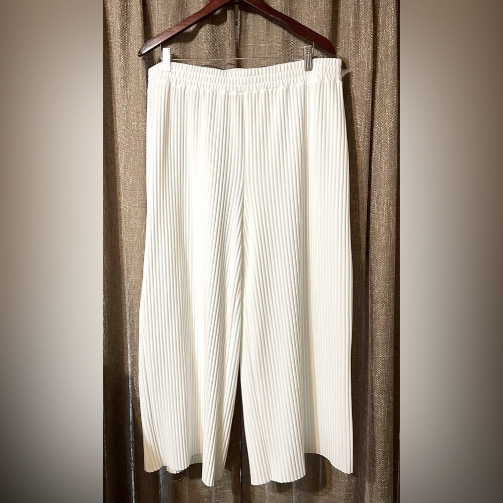 🍁 PRICE DROPPED PARTY PANTS AndrewMarc New York Ivory Pleated Pants Size XL New